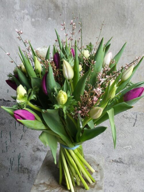 Tulpen boeket mix ca 50 stuks