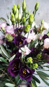 Lisianthus detail